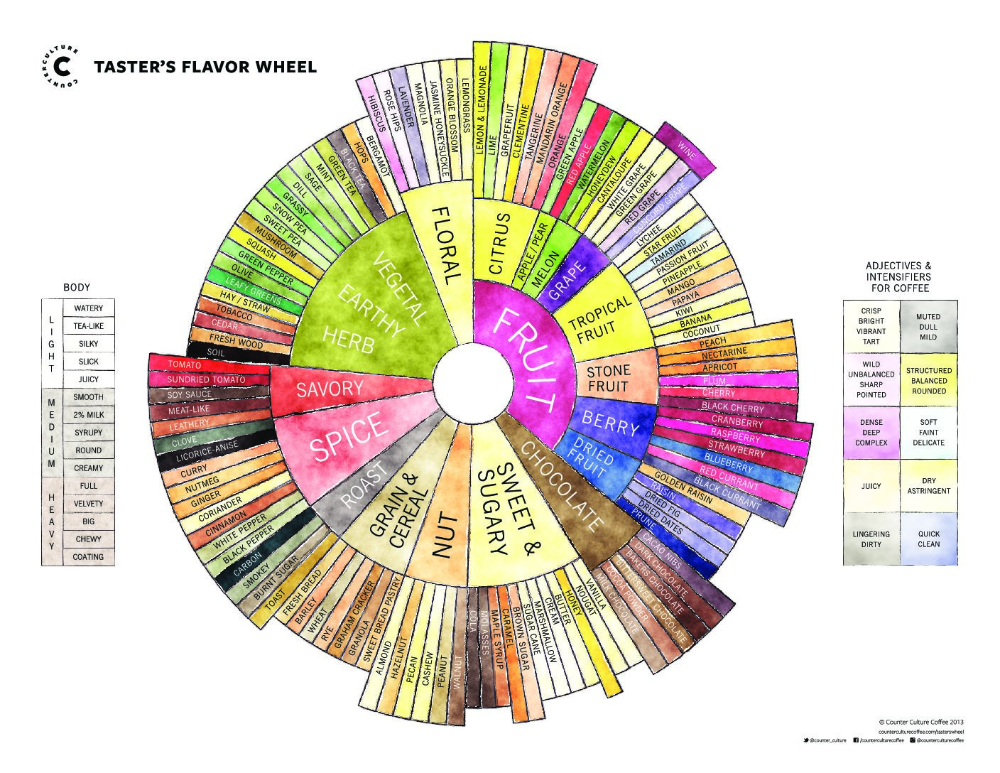 a circular chart of flavor notes for coffee